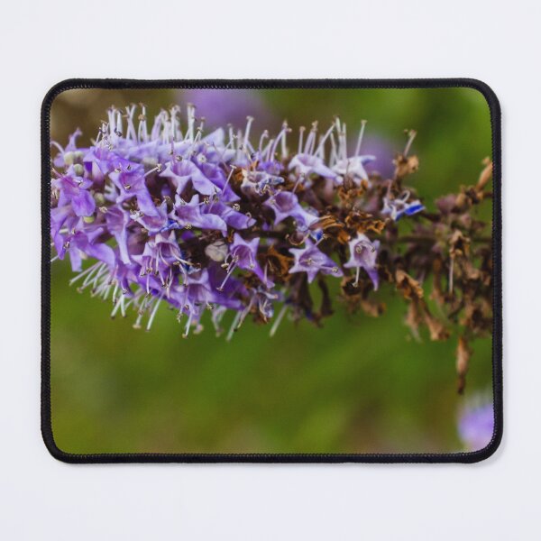 Item preview, Vibrant Purple Flower with Green Foliage in Natural Outdoor Setting designed and sold by Nmallia.