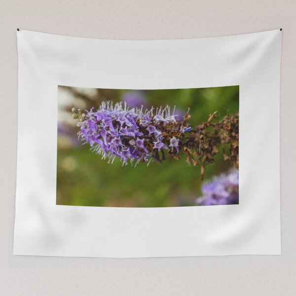 Item preview, Vibrant Purple Flower with Green Foliage in Natural Outdoor Setting designed and sold by Nmallia.