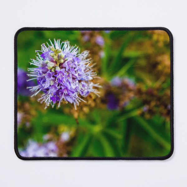 Item preview, Vibrant Purple Flower with Green Foliage in Natural Outdoor Setting designed and sold by Nmallia.