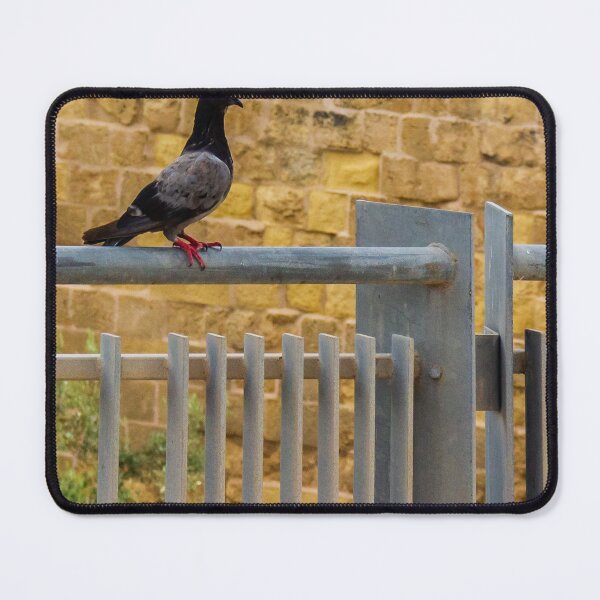 Item preview, Pigeon Perched on Metal Fence with Brick Wall Background designed and sold by Nmallia.