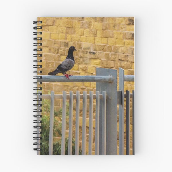 Item preview, Pigeon Perched on Metal Fence with Brick Wall Background designed and sold by Nmallia.