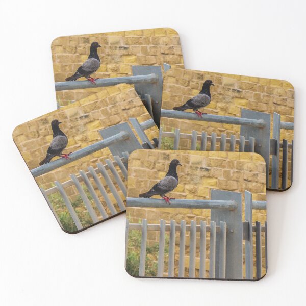 Item preview, Pigeon Perched on Metal Fence with Brick Wall Background designed and sold by Nmallia.