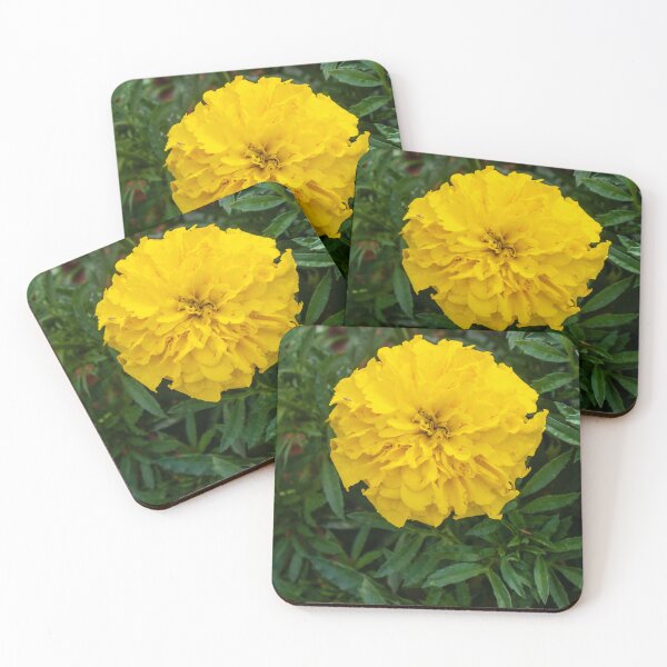Item preview, Bright Yellow Marigold Flower Surrounded by Green Leaves in a Garden Setting designed and sold by Nmallia.