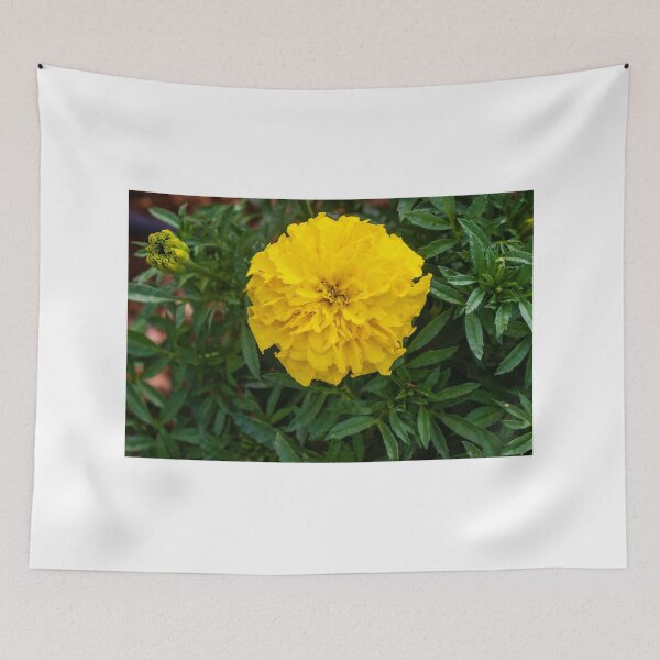 Item preview, Bright Yellow Marigold Flower Surrounded by Green Leaves in a Garden Setting designed and sold by Nmallia.