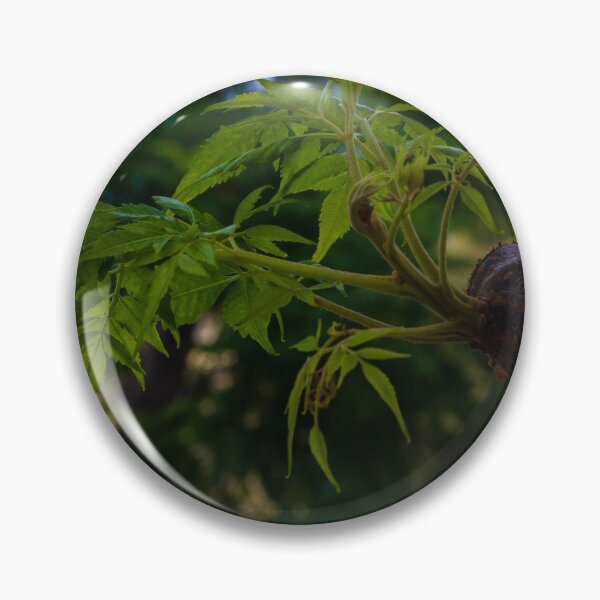 Item preview, Close-Up of Fresh Green Leaves Emerging on a Tree Trunk in Nature designed and sold by Nmallia.