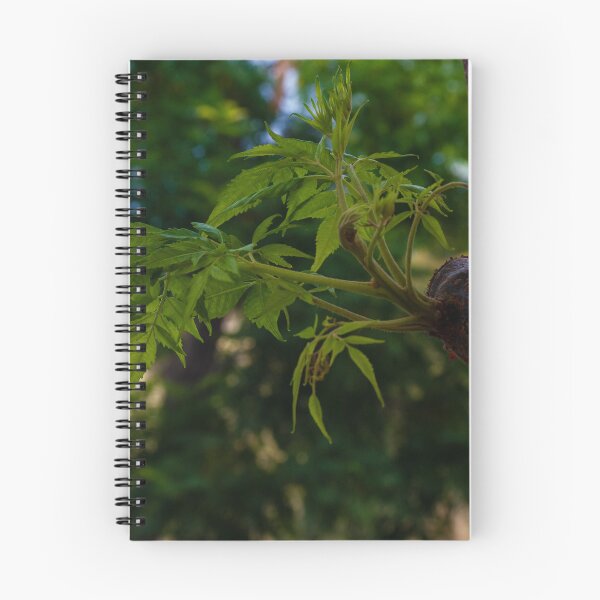 Item preview, Close-Up of Fresh Green Leaves Emerging on a Tree Trunk in Nature designed and sold by Nmallia.
