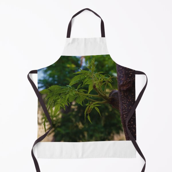 Item preview, Close-Up of Fresh Green Leaves Emerging on a Tree Trunk in Nature designed and sold by Nmallia.