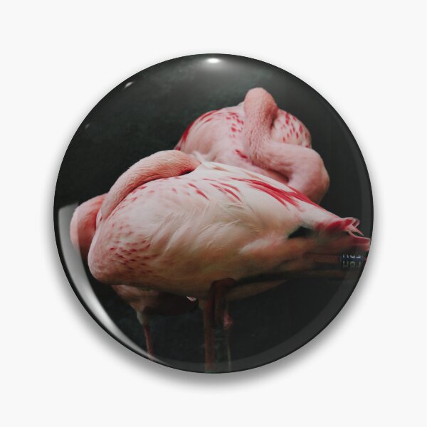 Item preview, Two pink flamingo sleeping designed and sold by msro1.