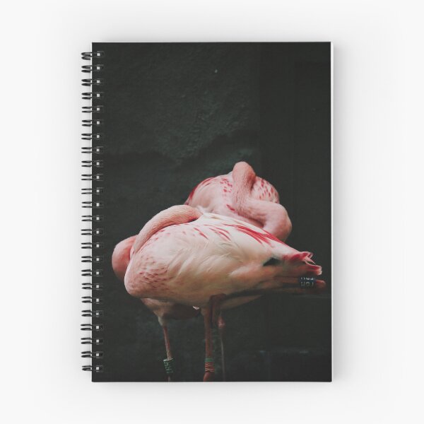 Item preview, Two pink flamingo sleeping designed and sold by msro1.