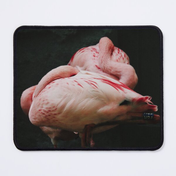 Item preview, Two pink flamingo sleeping designed and sold by msro1.