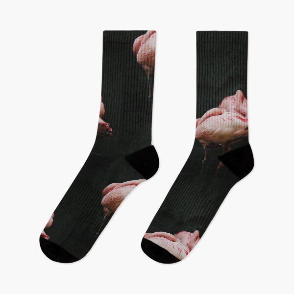 Item preview, Two pink flamingo sleeping designed and sold by msro1.