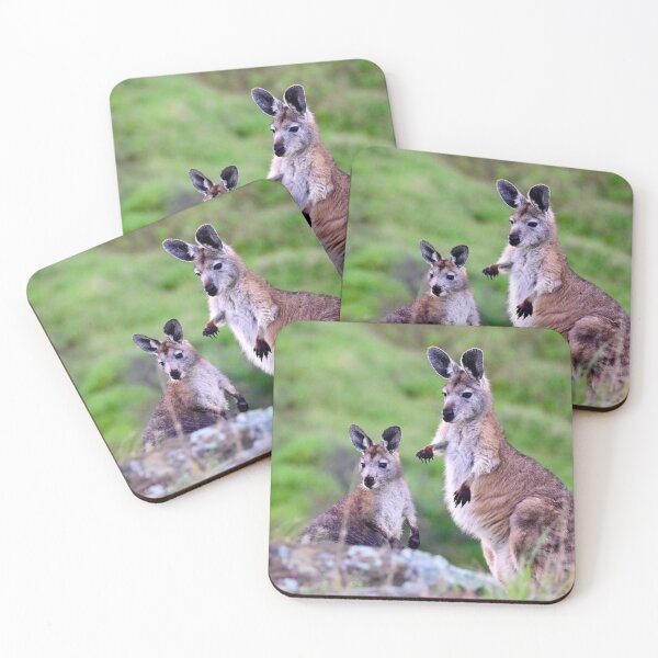 Item preview, Wallabies Gazing designed and sold by Likoca Photography.