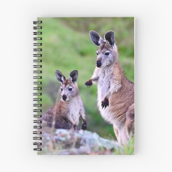Item preview, Wallabies Gazing designed and sold by Likoca Photography.
