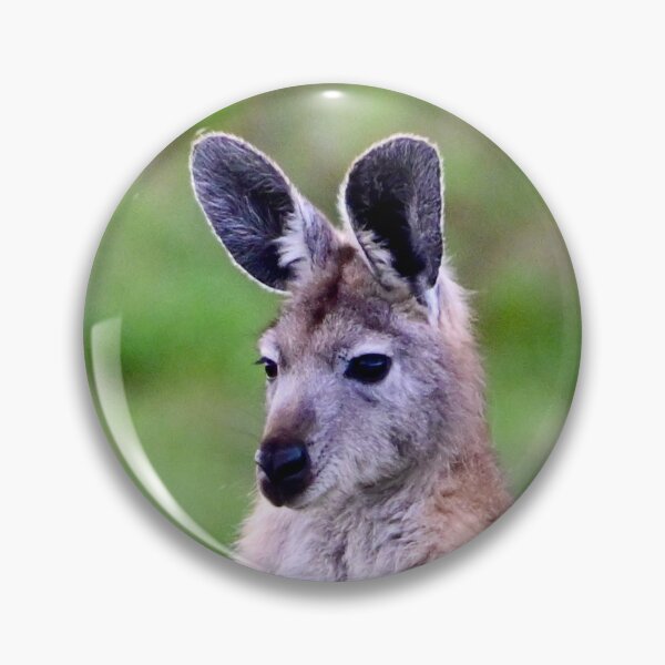 Item preview, Wallabies Gazing designed and sold by Likoca Photography.