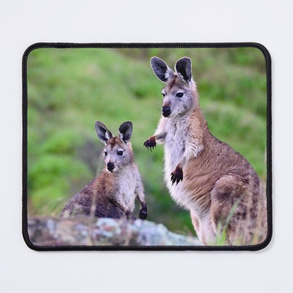 Item preview, Wallabies Gazing designed and sold by Likoca Photography.
