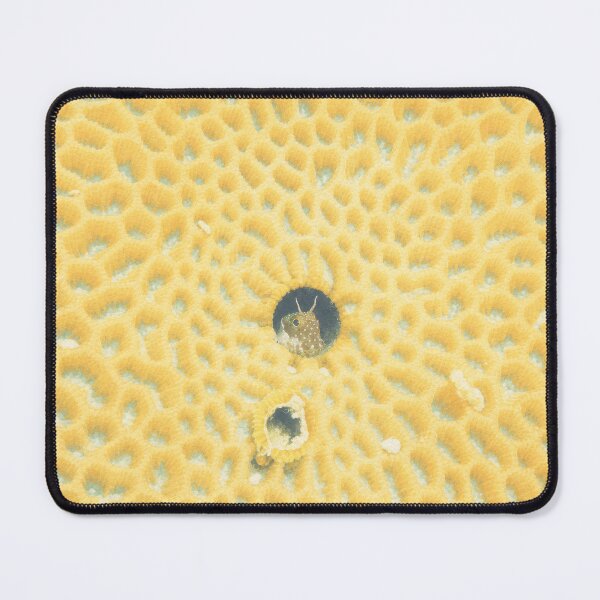 Item preview, Tiny fish in its coral home, Okinawa, Japan designed and sold by Dreaming Shell.