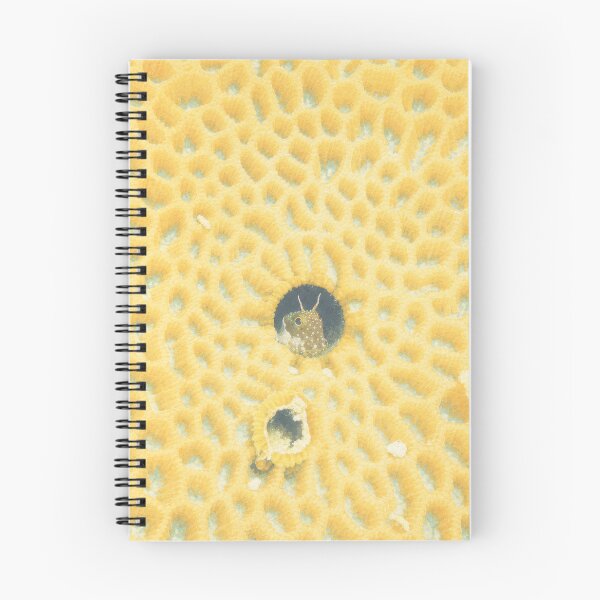 Item preview, Tiny fish in its coral home, Okinawa, Japan designed and sold by Dreaming Shell.