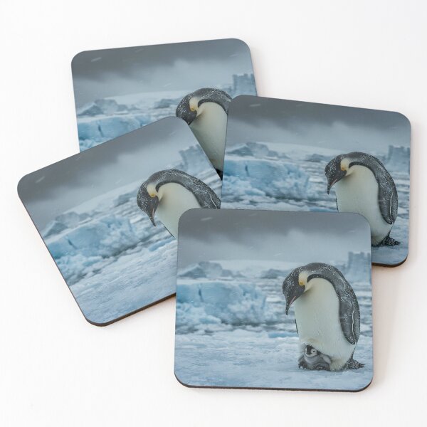 Item preview, Guardian of the Ice: Emperor Penguin Father's Devotion Art Print, Cinematic Wildlife Documentary Photography designed and sold by SOOstudio73.