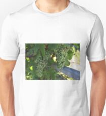 Grapes Unisex T-Shirt