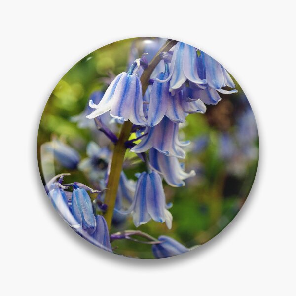 Item preview, Bluebells Colourful Spring Flowers designed and sold by AndyEvansPhotos.