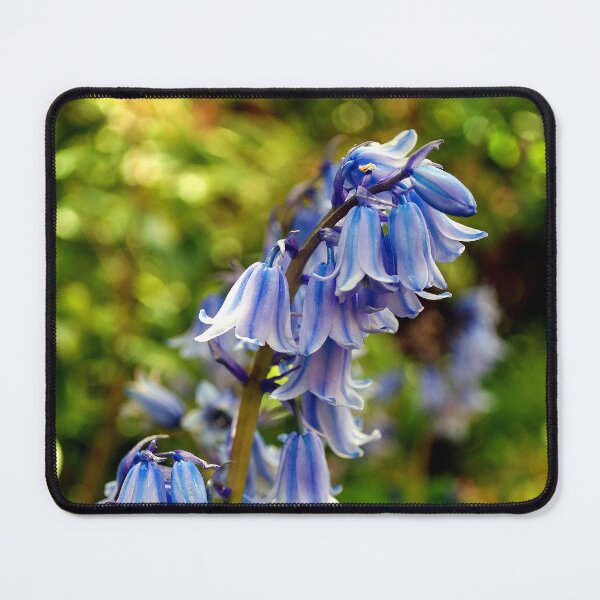 Item preview, Bluebells Colourful Spring Flowers designed and sold by AndyEvansPhotos.