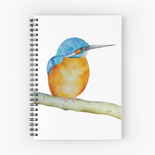 Artikelvorschau, Eisvogel-Buntstiftzeichnung entworfen und verkauft von Kathryn Green.