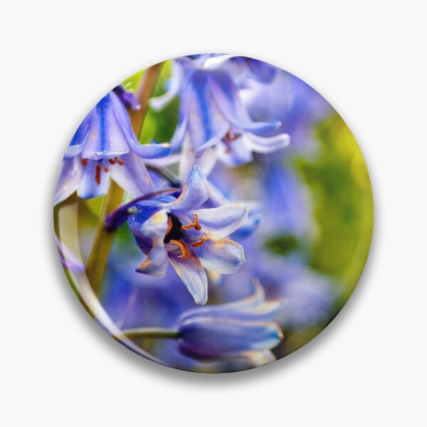 Item preview, Bluebells Colourful Spring Flowers designed and sold by AndyEvansPhotos.