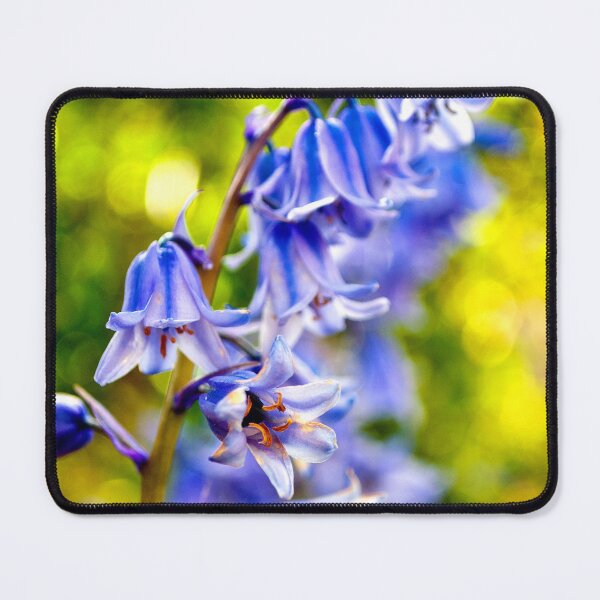 Item preview, Bluebells Colourful Spring Flowers designed and sold by AndyEvansPhotos.