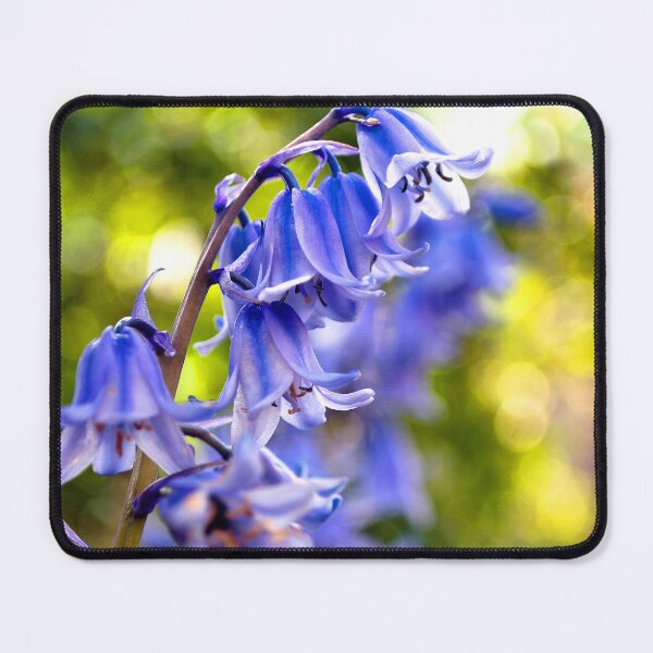 Item preview, Bluebells Colourful Spring Flowers designed and sold by AndyEvansPhotos.