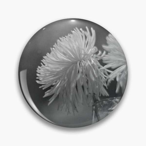 Item preview, Monochrome Chrysanthemum Blooms in Glass with Bokeh designed and sold by MerriliGueneve.