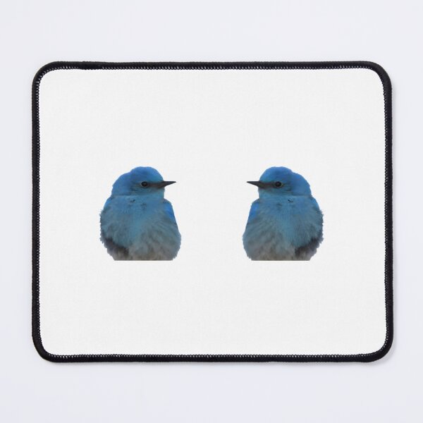 Item preview, Adorable Twin Bluebirds Art | ⭐⭐⭐⭐⭐ Best Seller designed and sold by Kalea Clark.