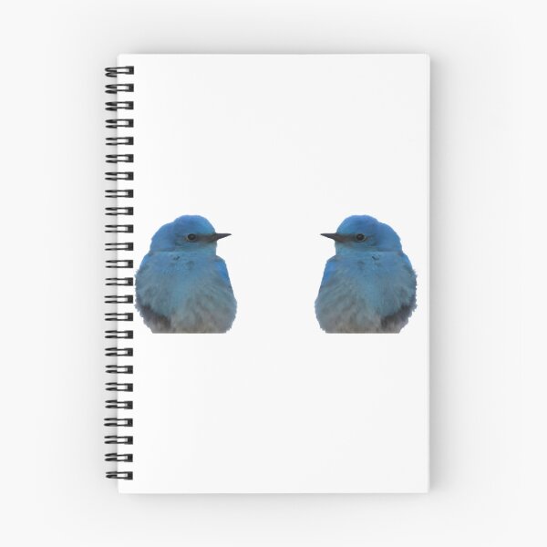 Item preview, Adorable Twin Bluebirds Art | ⭐⭐⭐⭐⭐ Best Seller designed and sold by Kalea Clark.
