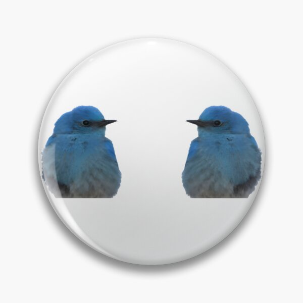 Item preview, Adorable Twin Bluebirds Art | ⭐⭐⭐⭐⭐ Best Seller designed and sold by Kalea Clark.