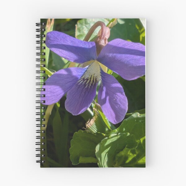 Artikelvorschau, Viola Sororia entworfen und verkauft von MacroFlower.