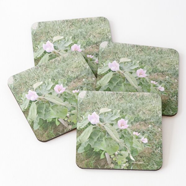 Item preview, Blooming Eggplant Plant With Purple Flowers Photography designed and sold by SofiaByCruti.