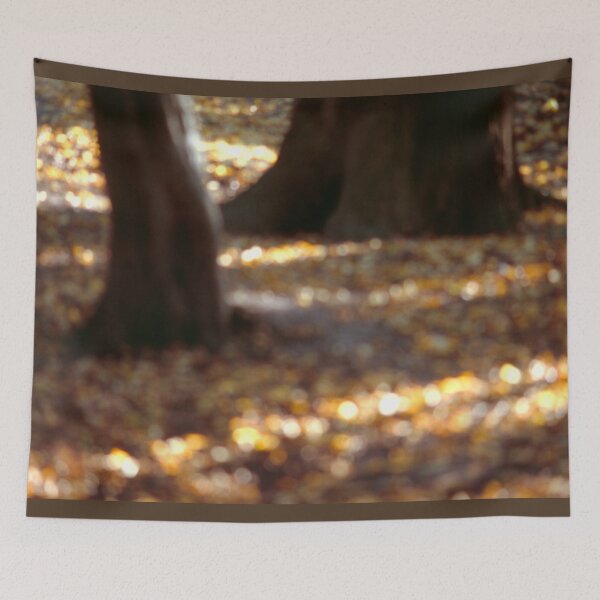 Item preview, Forest Abstract, as shot on film. designed and sold by JonDelorme.