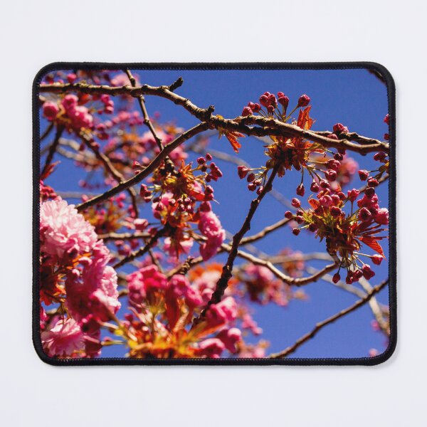 Item preview, New Beginnings | The Pink Cherry Blossom Tree | Love | Hope | Pink Flowers | Minimalism | Salmon Pink & White Limited Duotone Edition designed and sold by ArtPrintsbyNathan.