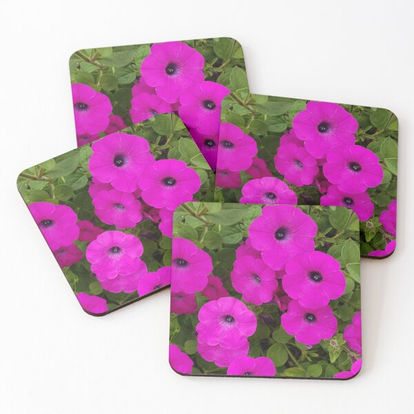 Item preview, Glorious Petunias Grown from a South Philly Sidewalk designed and sold by concretebotany.