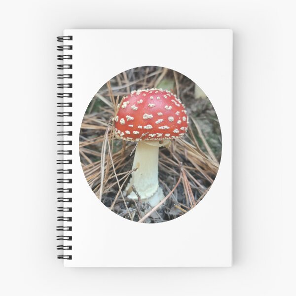 Artikelvorschau, Pilz im Wald entworfen und verkauft von Eric's Designs.