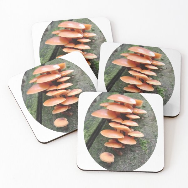 Artikelvorschau, Orangefarbene Champignons entworfen und verkauft von Eric's Designs.