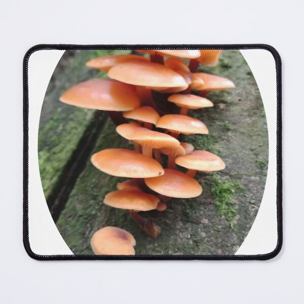 Item preview, Orange mushrooms designed and sold by Eric's Designs.