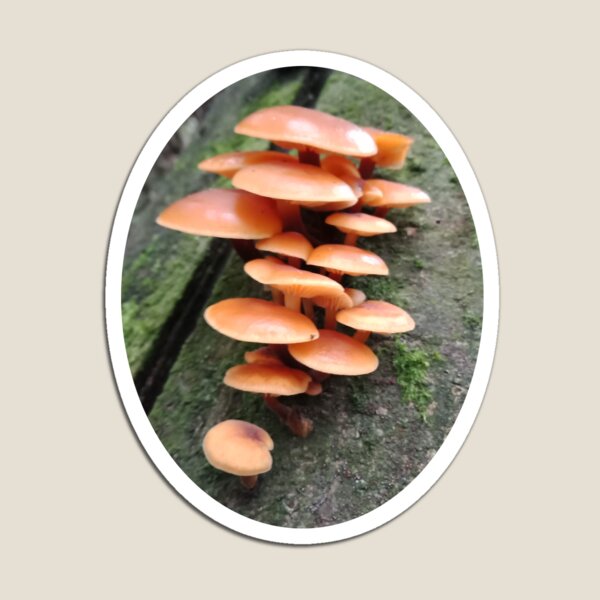 Item preview, Orange mushrooms designed and sold by Eric's Designs.