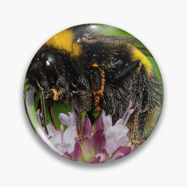 Item preview, Buff Tailled Bumble Bee on Marjoram Flowers designed and sold by Geordie Jason.