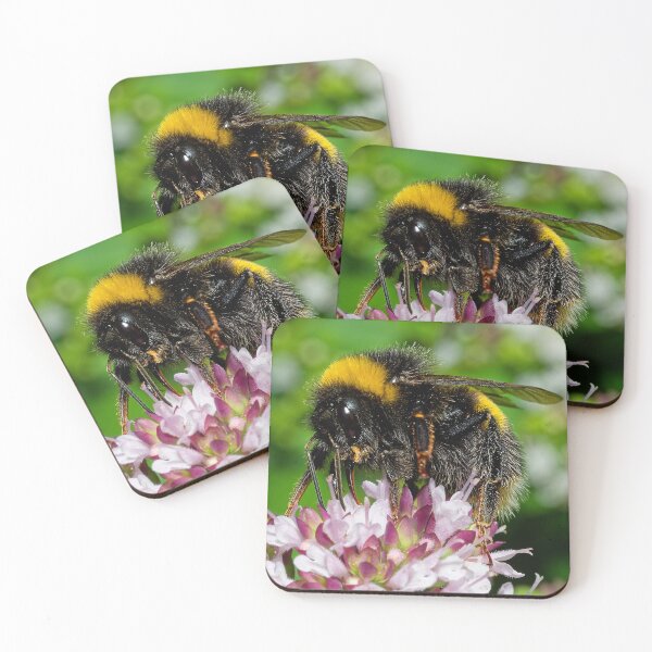 Item preview, Buff Tailled Bumble Bee on Marjoram Flowers designed and sold by Geordie Jason.