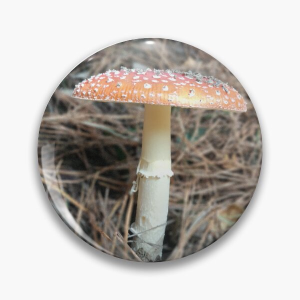 Item preview, Amanita Muscaria designed and sold by Eric's Designs.