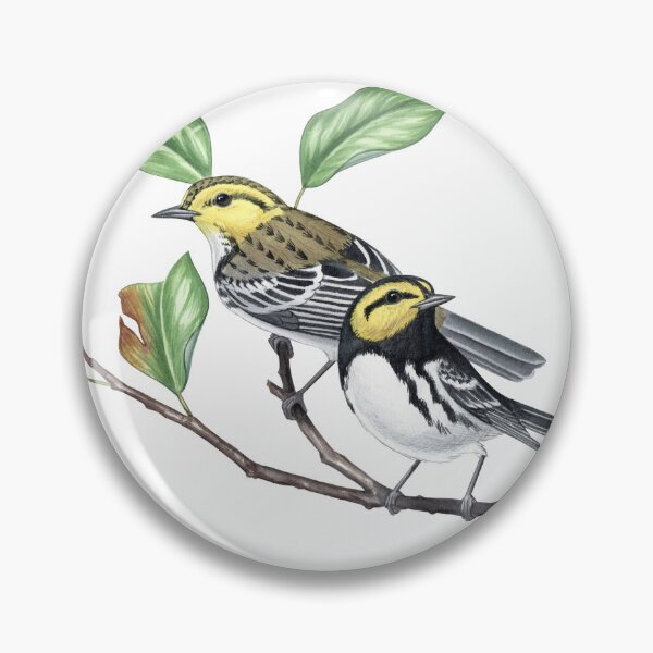 Item preview, Golden-cheeked Warbler (Setophaga chrysoparia)  designed and sold by JadaFitch.