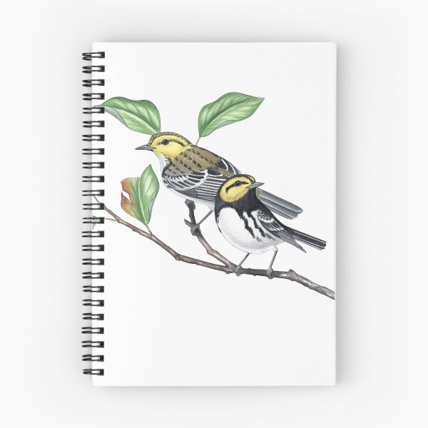 Item preview, Golden-cheeked Warbler (Setophaga chrysoparia)  designed and sold by JadaFitch.