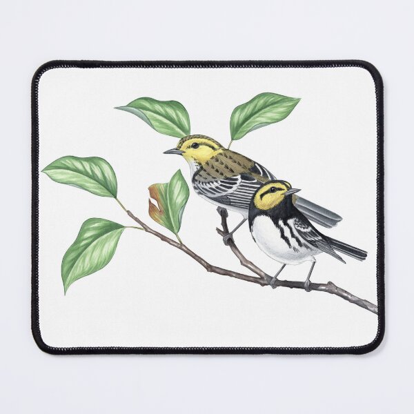 Item preview, Golden-cheeked Warbler (Setophaga chrysoparia)  designed and sold by JadaFitch.