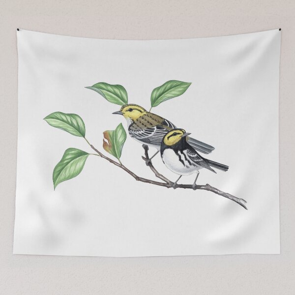 Item preview, Golden-cheeked Warbler (Setophaga chrysoparia) designed and sold by JadaFitch.