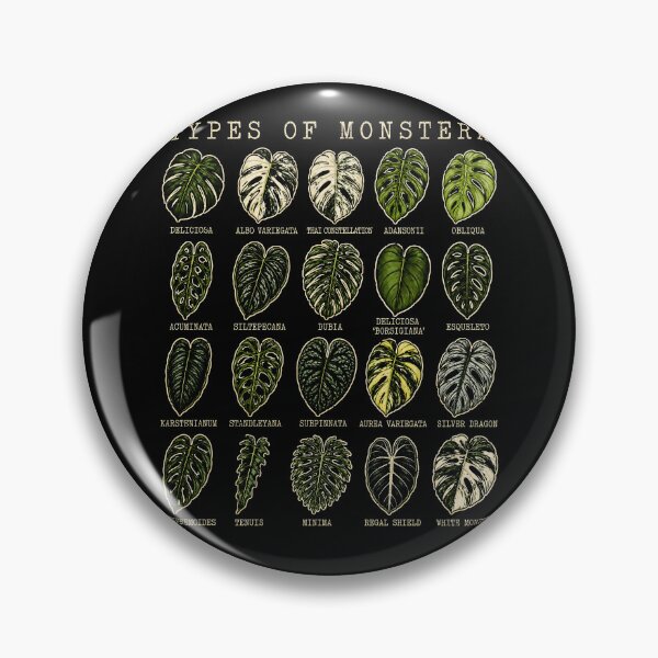 Item preview, Types of Monstera Plant Leaves Art Print designed and sold by rafaeltto.